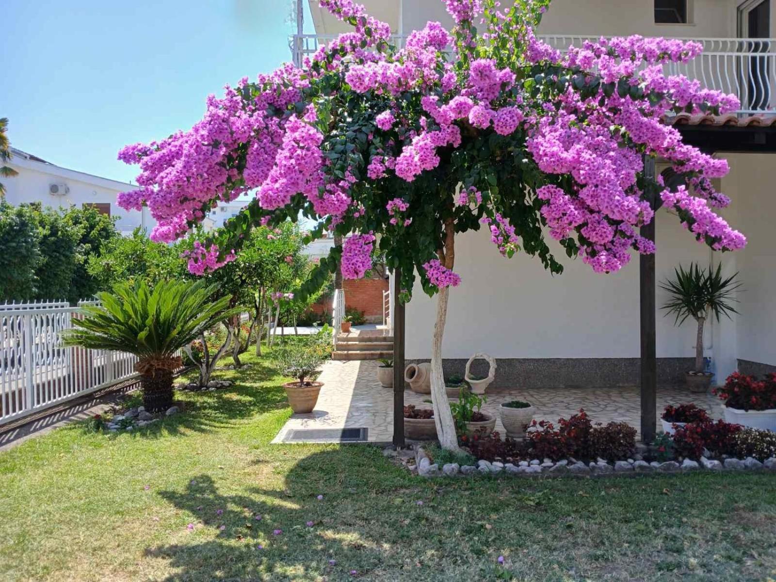 Vila Adriatik Ulcinj Exterior foto