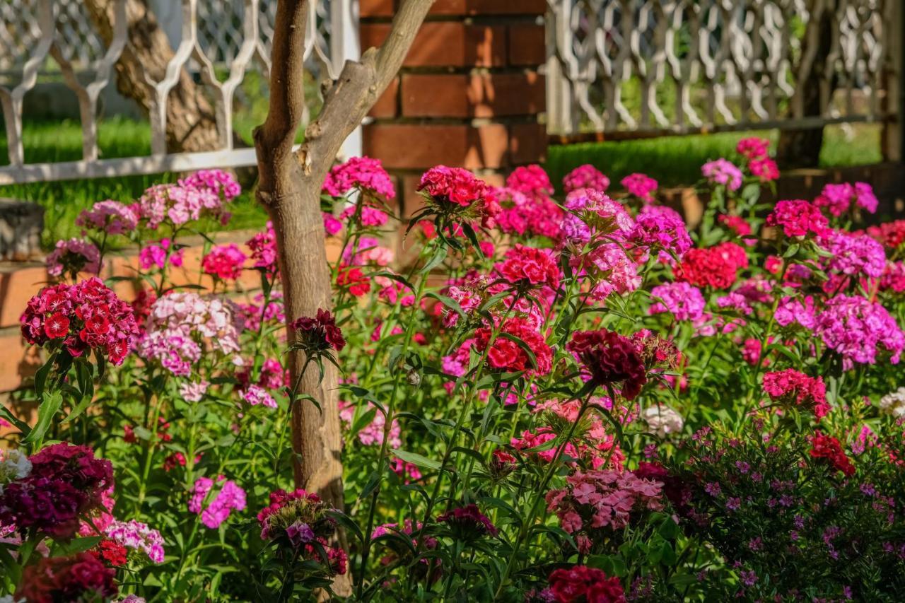 Vila Adriatik Ulcinj Exterior foto